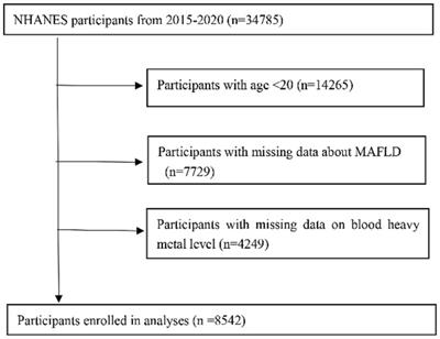 Association between blood heavy metal exposure levels and risk of metabolic dysfunction associated fatty liver disease in adults: 2015–2020 NHANES large cross-sectional study